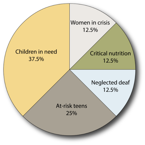 Children in need—37.5%; At-risk teens—25%; Critical nutrition—12.5%; Neglected deaf—12.5%; Women in crisis—12.5%